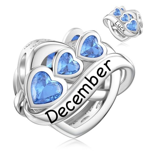 Lanbeide Dezember Geburtsstein Charms 925 Sterling Silber Infinity