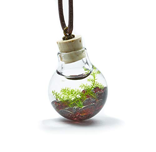 Unterwasserwelt Moos Granat Echte Wasserpflanze Kette Echtes Borosilikatglas